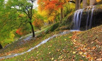 On way to hooper Pakistan